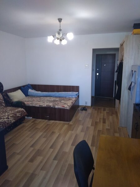 Camil Ressu, Park Lake, Piata Ramnicu Sarat,